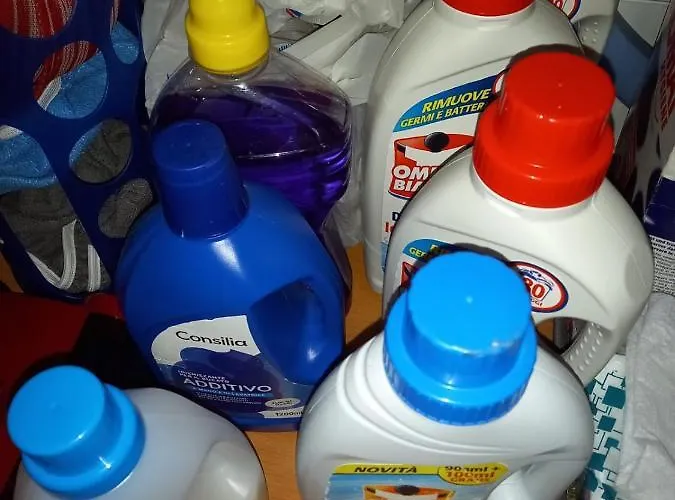 Colorato Affittacamere Ferrara