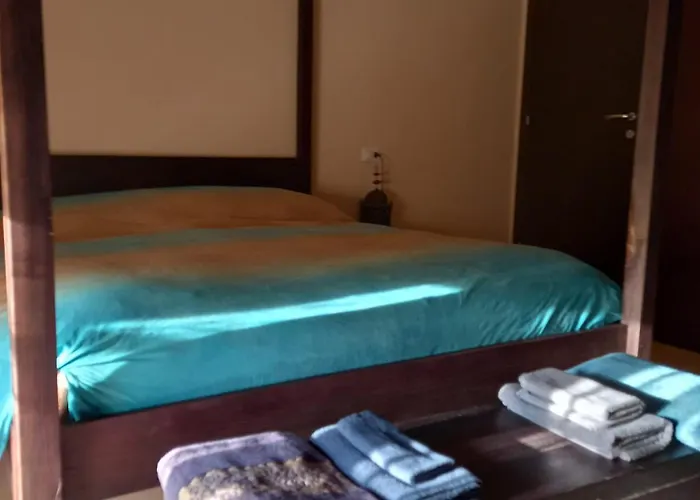 Colorato Affittacamere Ferrara